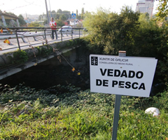 La Xunta mantiene la veda del río Lagares al no recuperarse su fauna